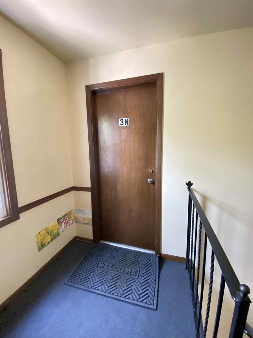 919 S Carpenter Street #3N, Chicago, IL 60607