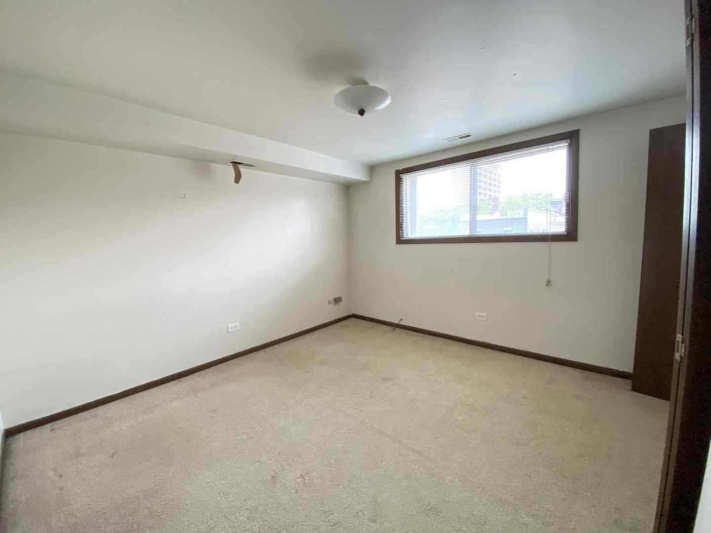 919 S Carpenter Street #3N, Chicago, IL 60607