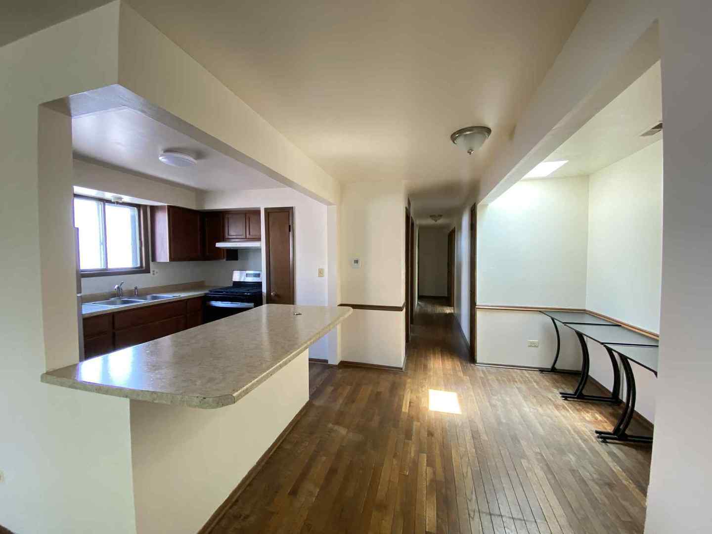 919 S Carpenter Street #3N, Chicago, IL 60607