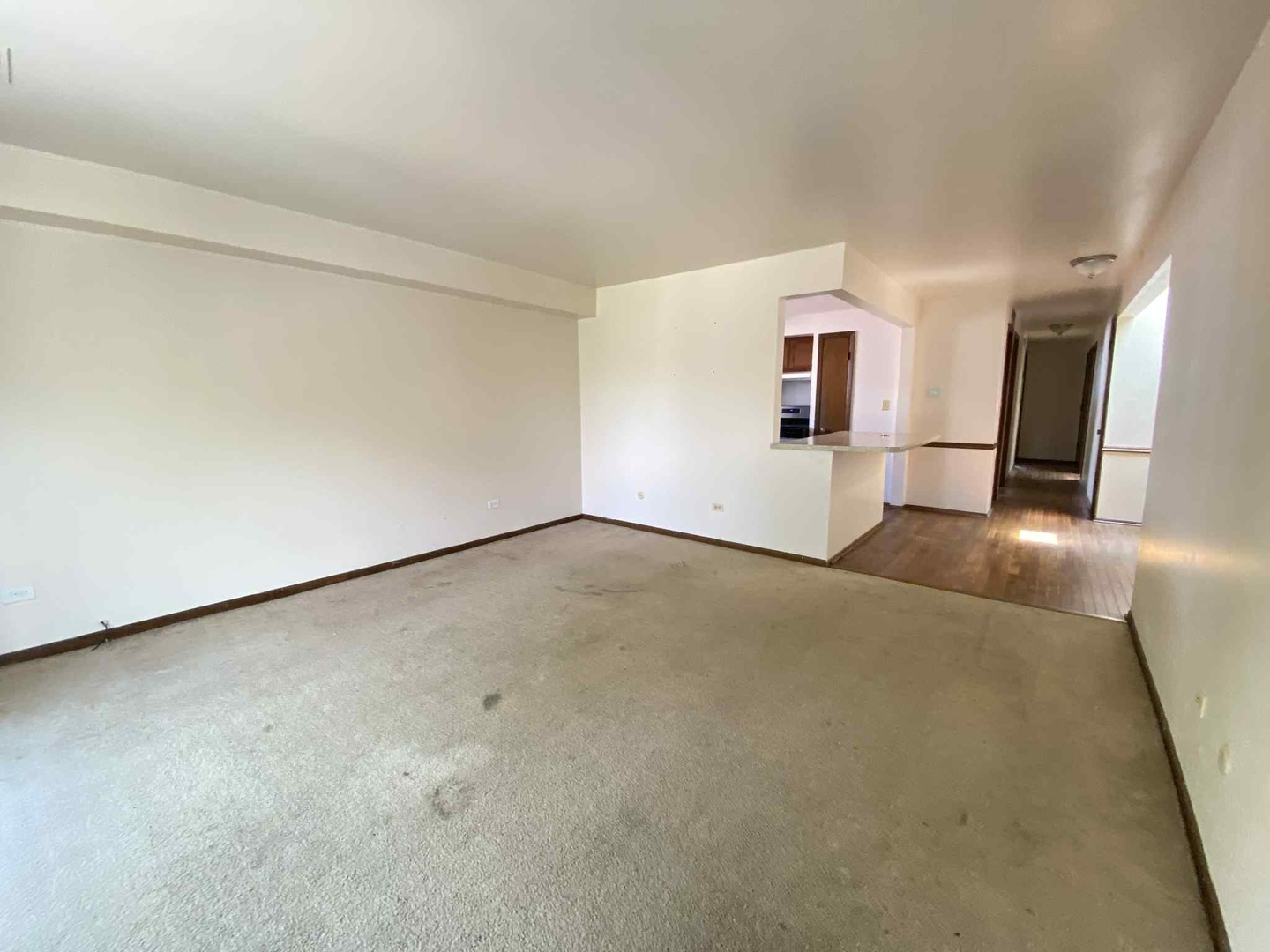 919 S Carpenter Street #3N, Chicago, IL 60607