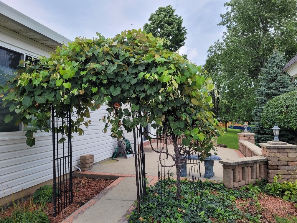 236 Jonathan Way, Bolingbrook, IL 60490