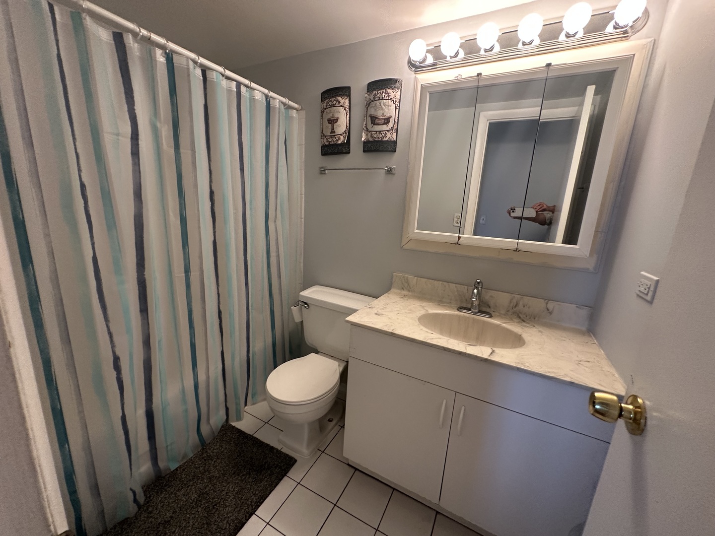 1463 Mercury Drive #315, Schaumburg, IL 60193