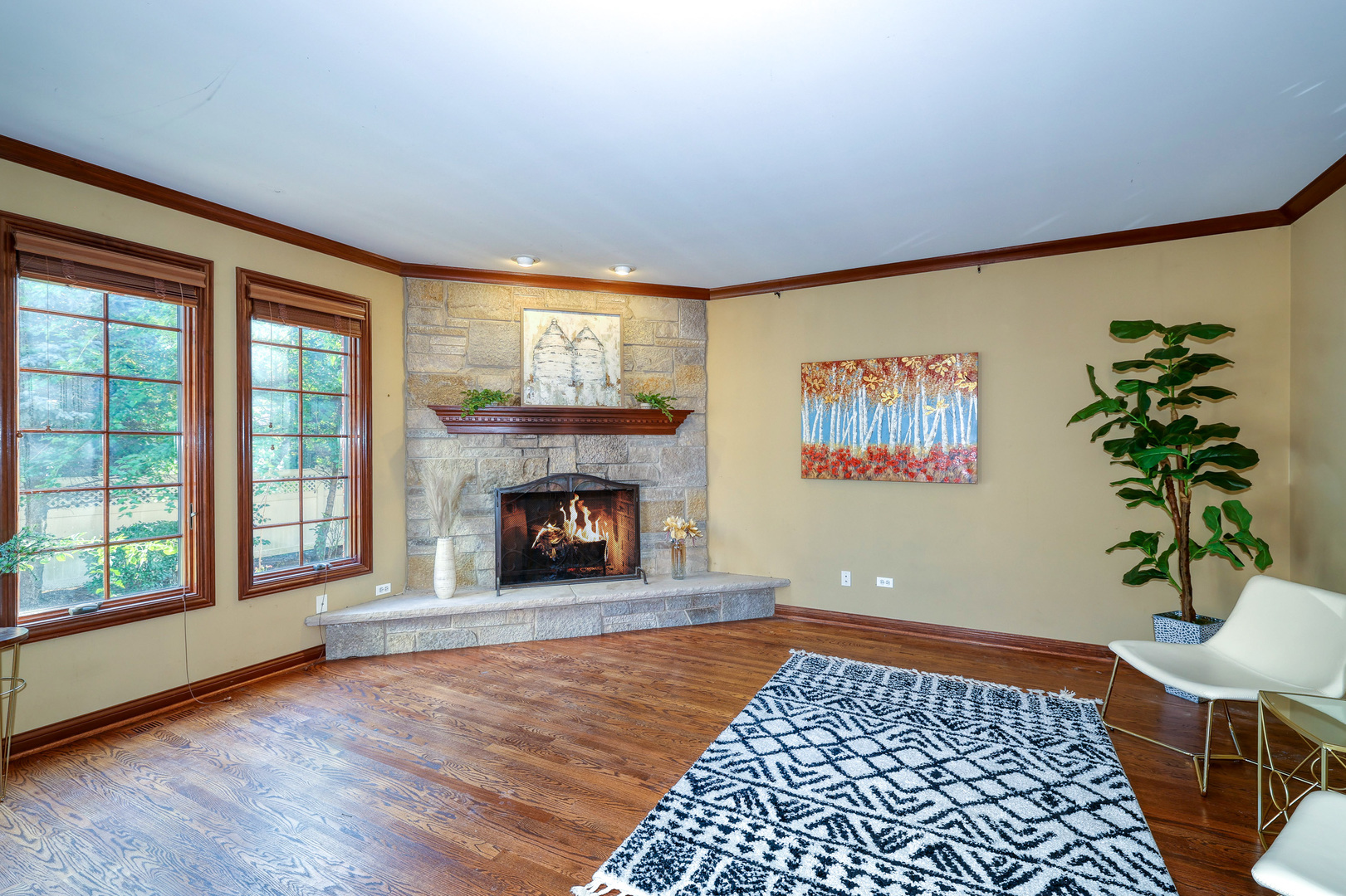 315 Arbor Glen Boulevard, Schaumburg, IL 60195