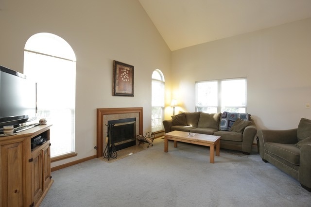 704 Shady Oaks Court, Elgin, IL 60120