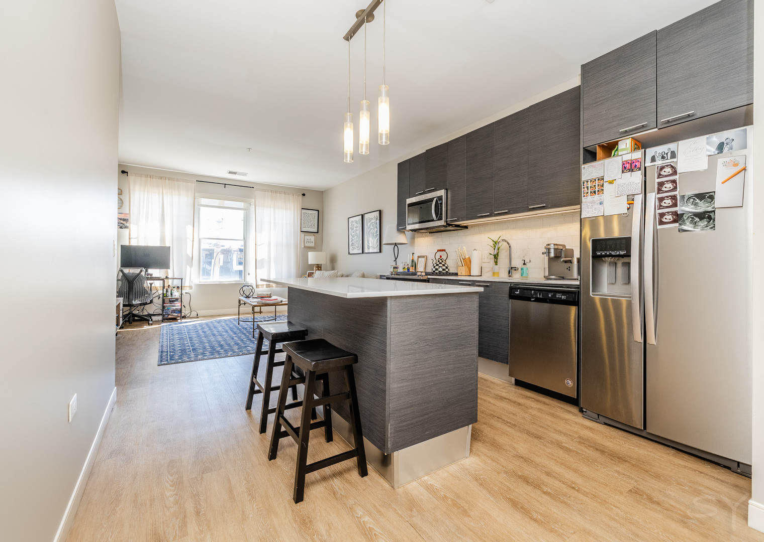 229 Park Avenue #202, Clarendon Hills, IL 60514