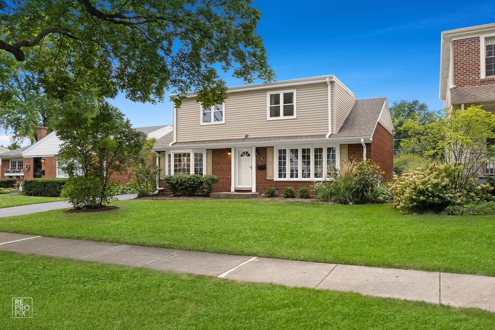 738 N HICKORY Avenue, Arlington Heights, IL 60004