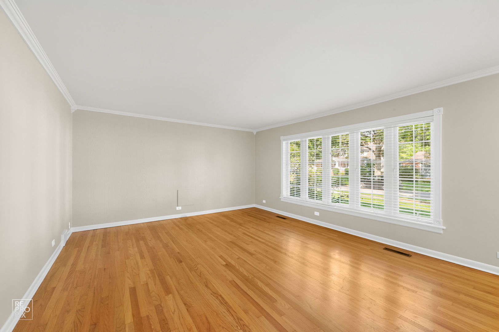 738 N HICKORY Avenue, Arlington Heights, IL 60004
