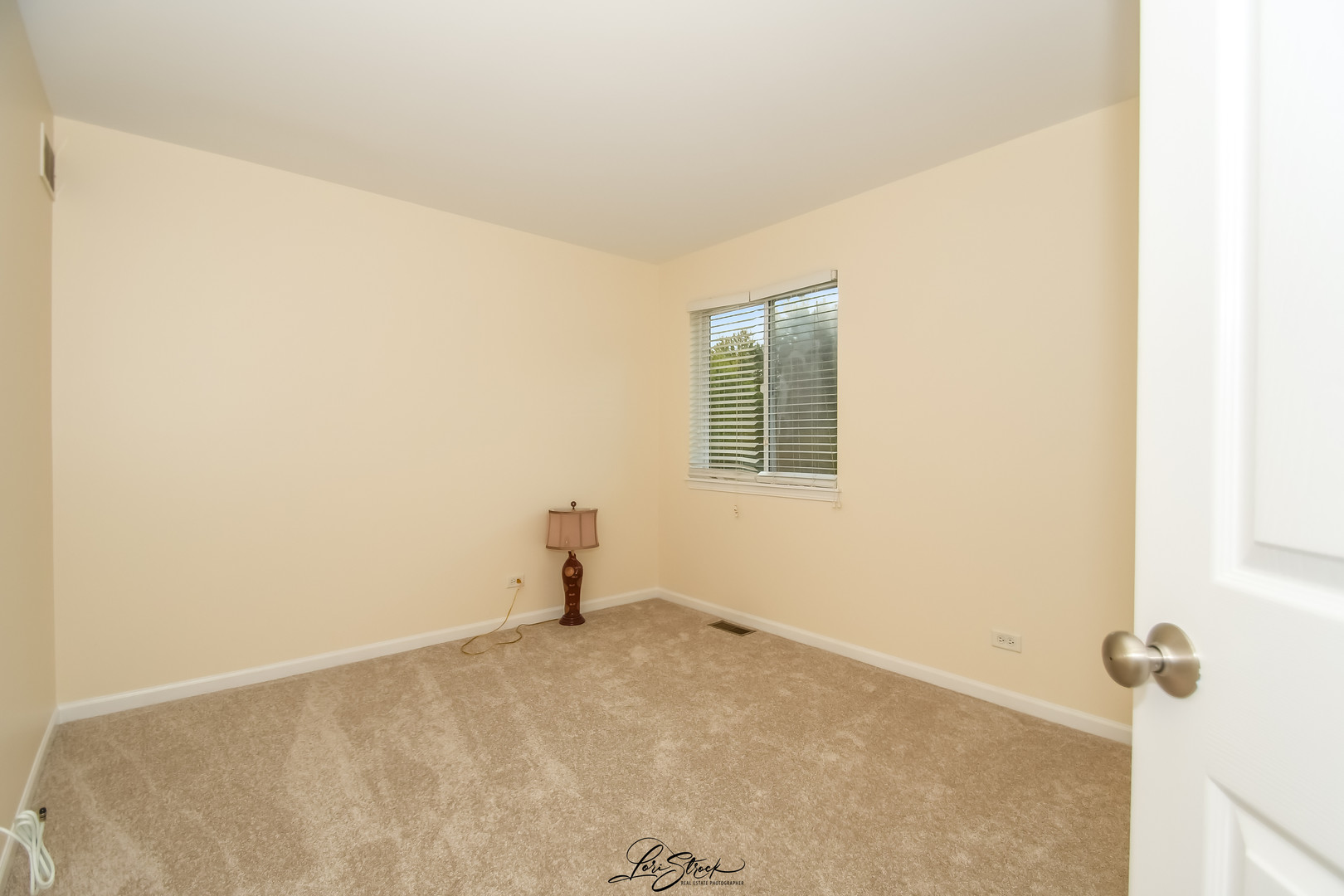 1954 Cambridge Lane, Montgomery, IL 60538