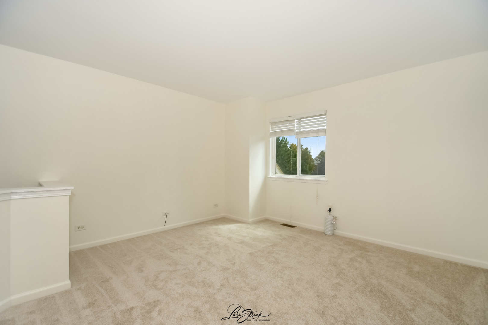 1954 Cambridge Lane, Montgomery, IL 60538