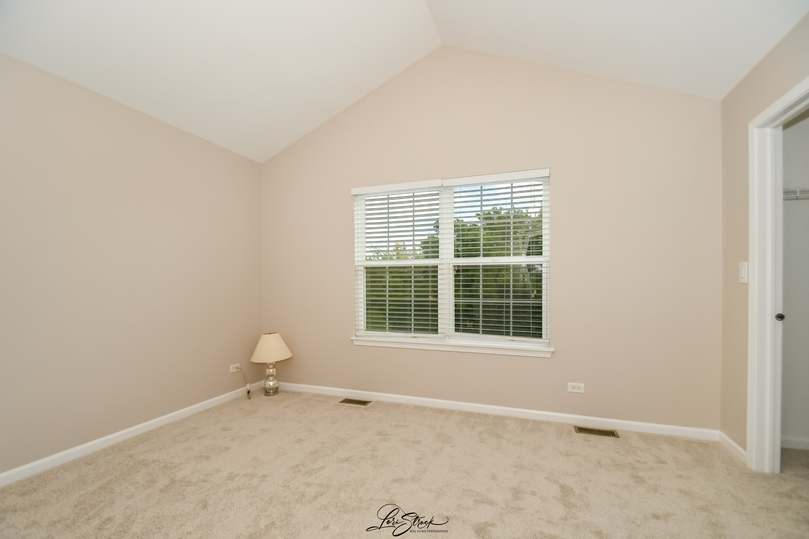 1954 Cambridge Lane, Montgomery, IL 60538
