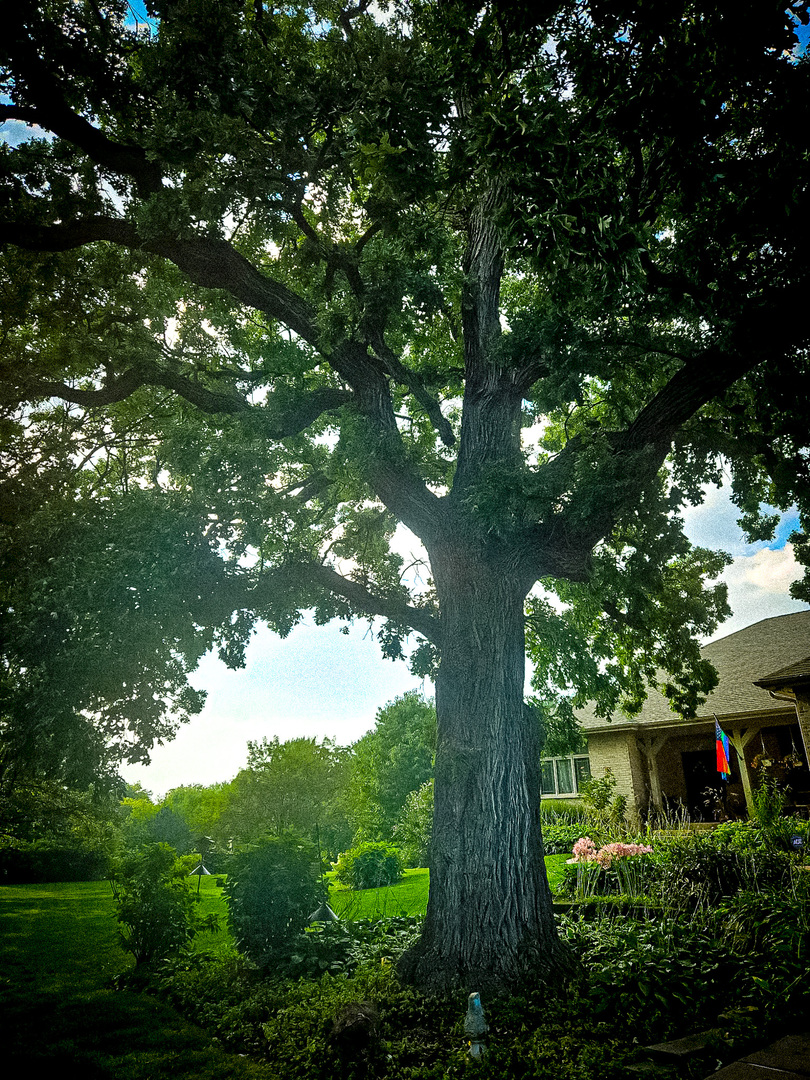 1608 Breezy Lawn Road, Spring Grove, IL 60081