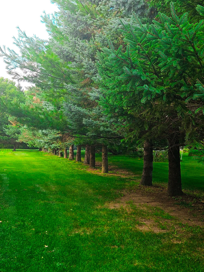 1608 Breezy Lawn Road, Spring Grove, IL 60081