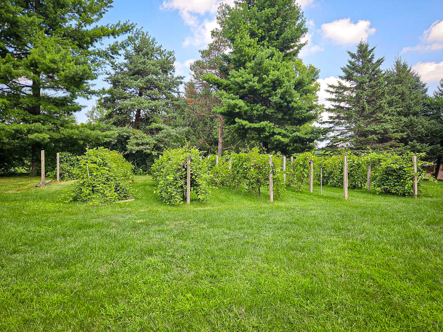 1608 Breezy Lawn Road, Spring Grove, IL 60081