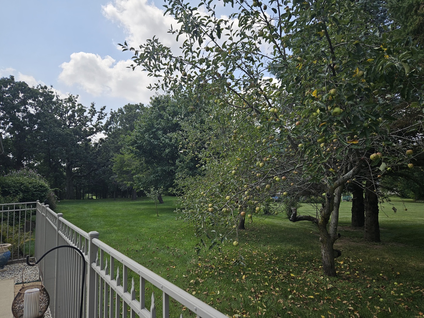 1608 Breezy Lawn Road, Spring Grove, IL 60081