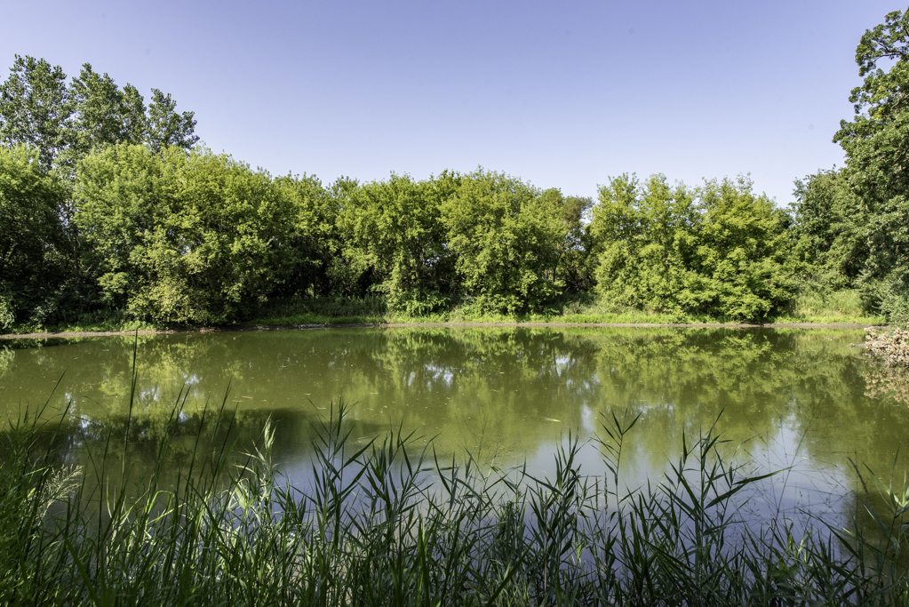 723 Morris Court, Lakemoor, IL 60050