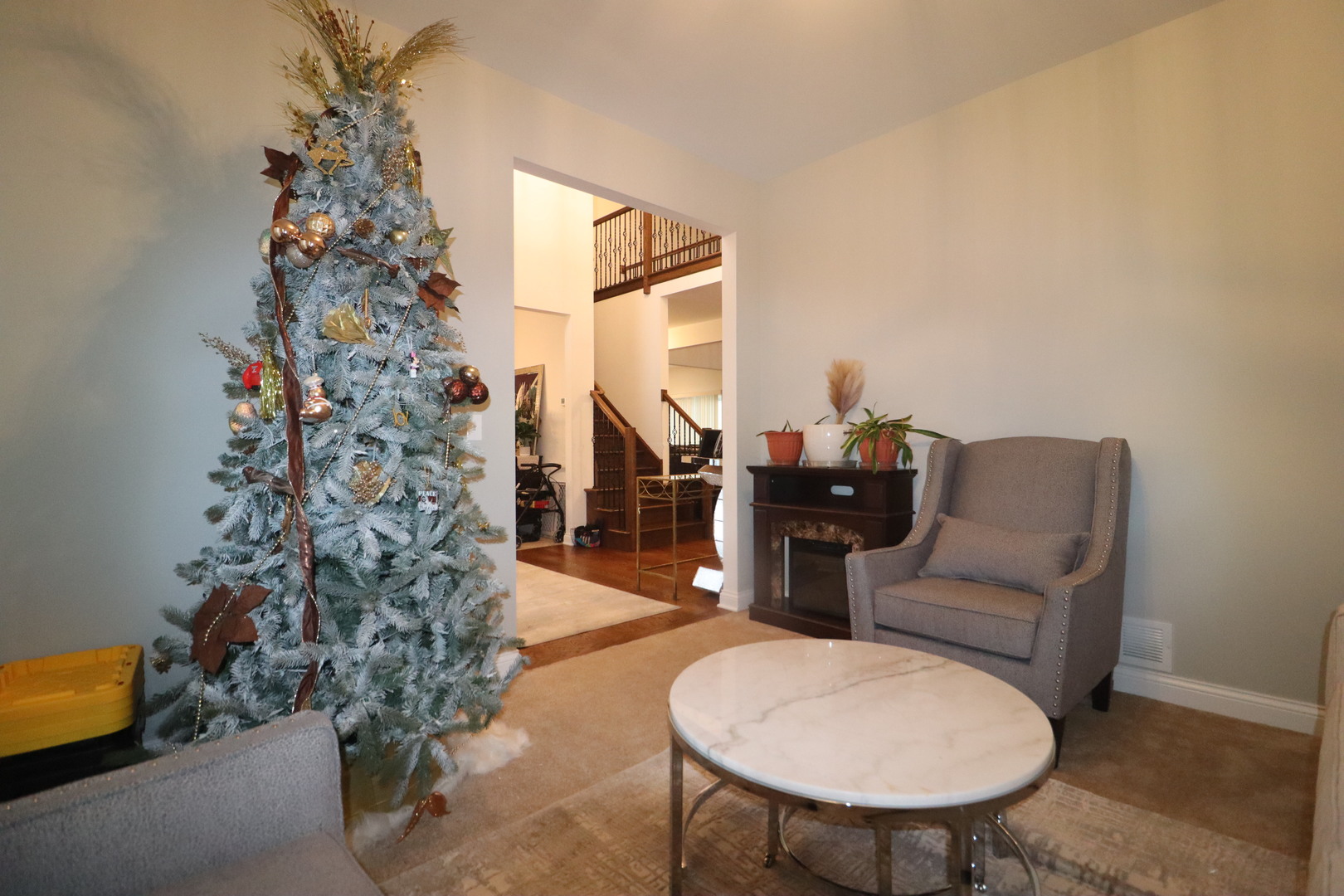 4215 Chinaberry Lane, Naperville, IL 60564
