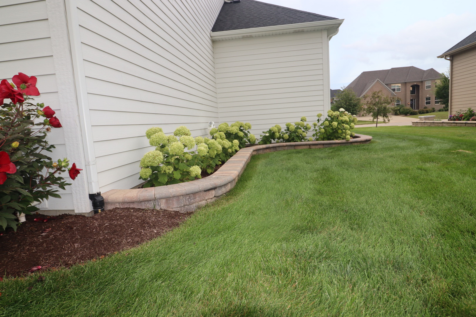 4215 Chinaberry Lane, Naperville, IL 60564