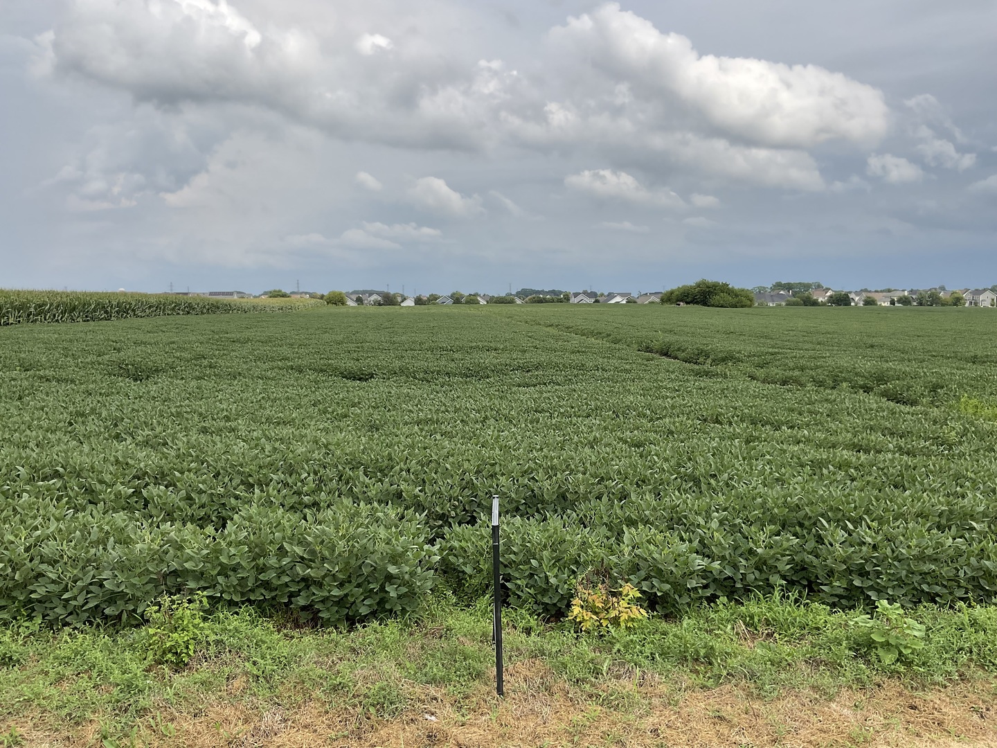 10.38 acres S Heggs Road, Plainfield, IL 60585