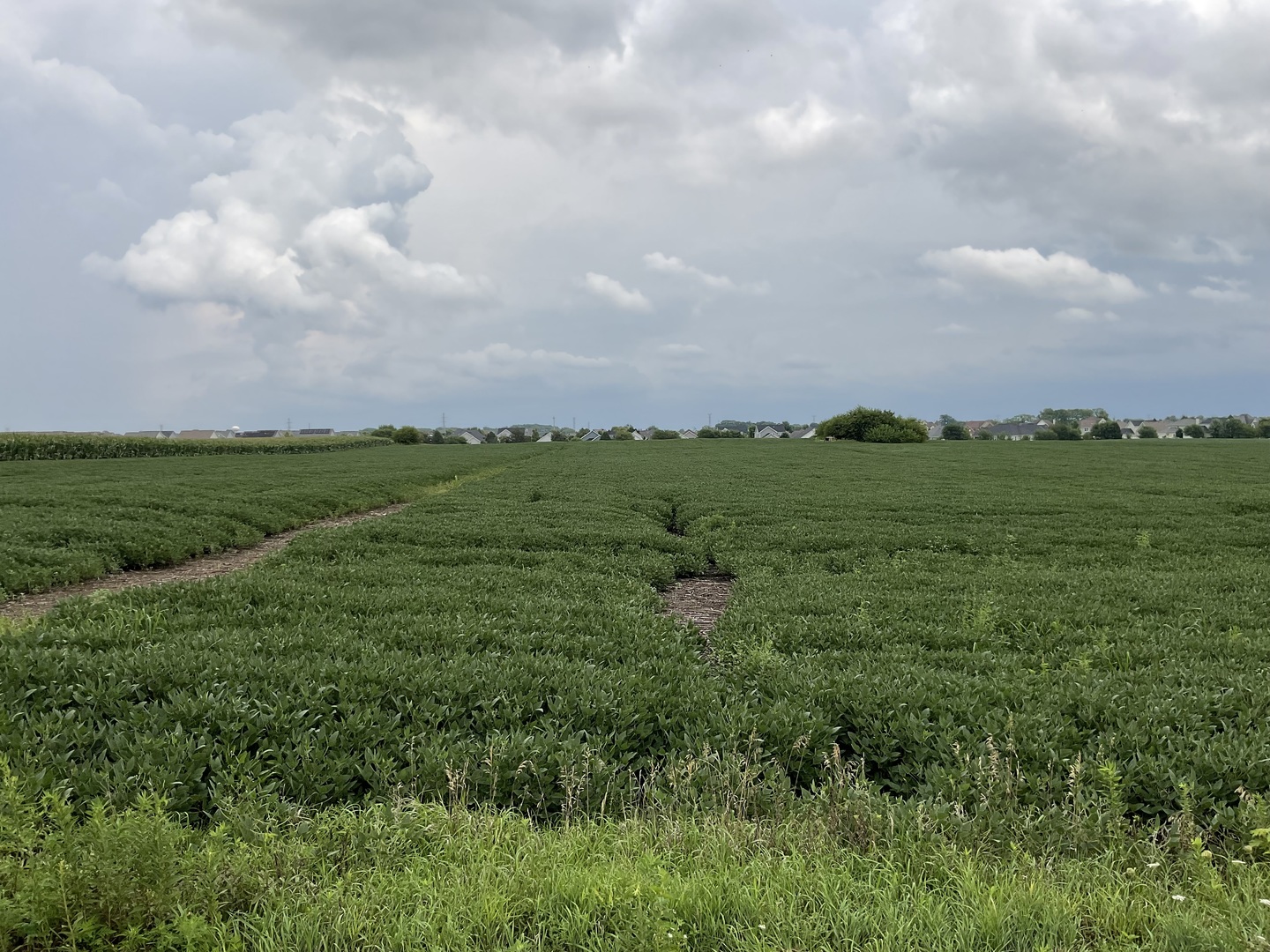 10.38 acres S Heggs Road, Plainfield, IL 60585