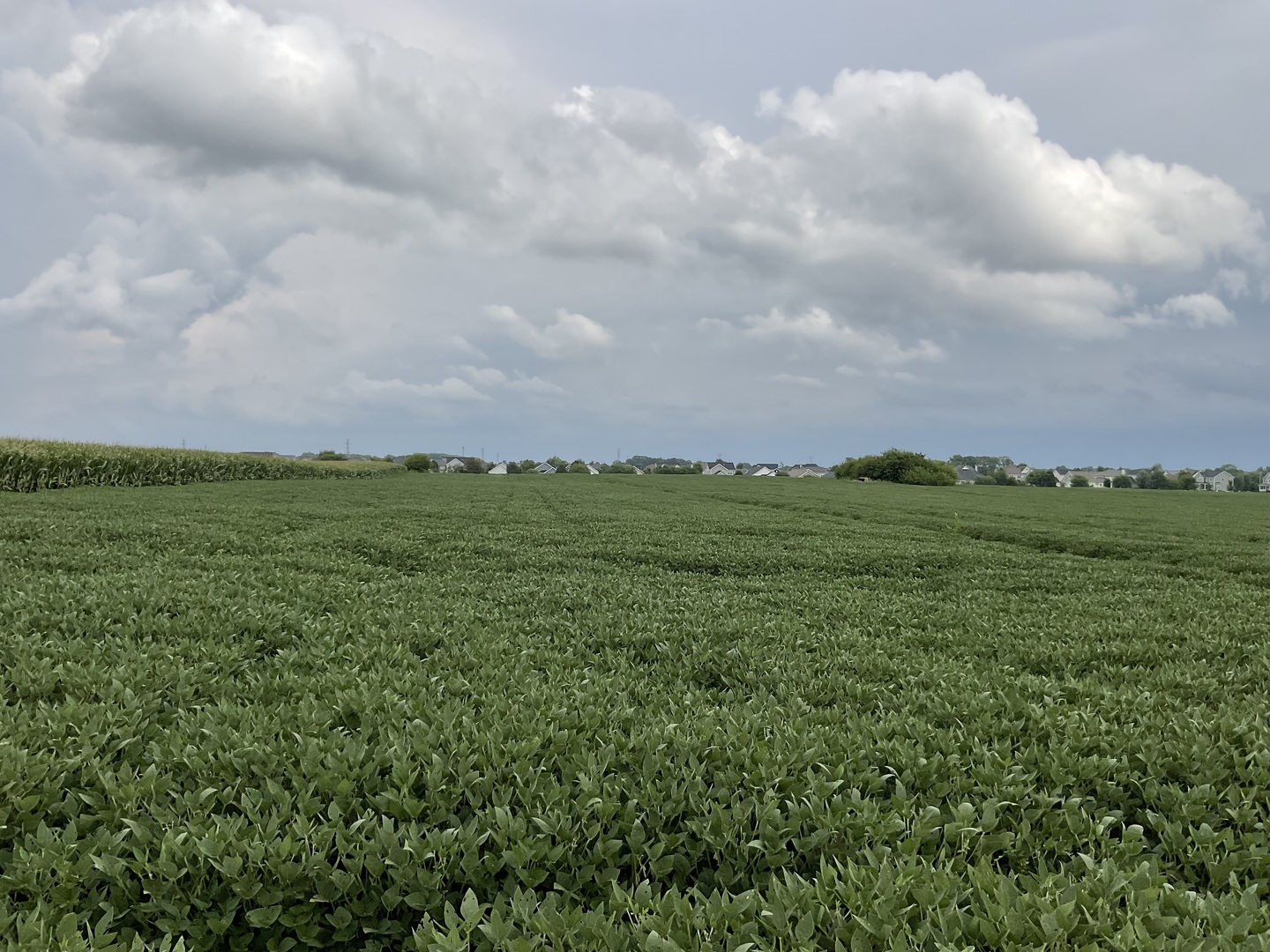 10.38 acres S Heggs Road, Plainfield, IL 60585