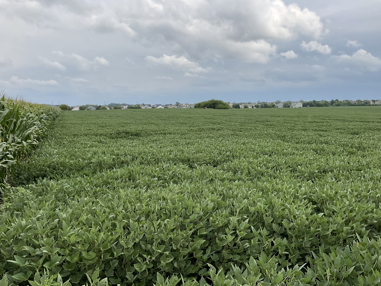 10.38 acres S Heggs Road, Plainfield, IL 60585