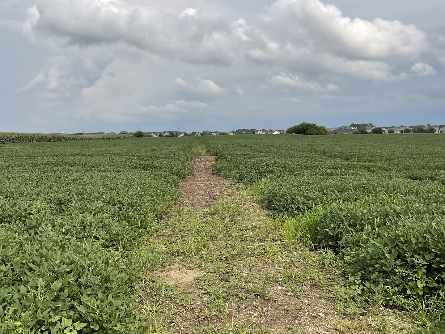 10.38 acres S Heggs Road, Plainfield, IL 60585