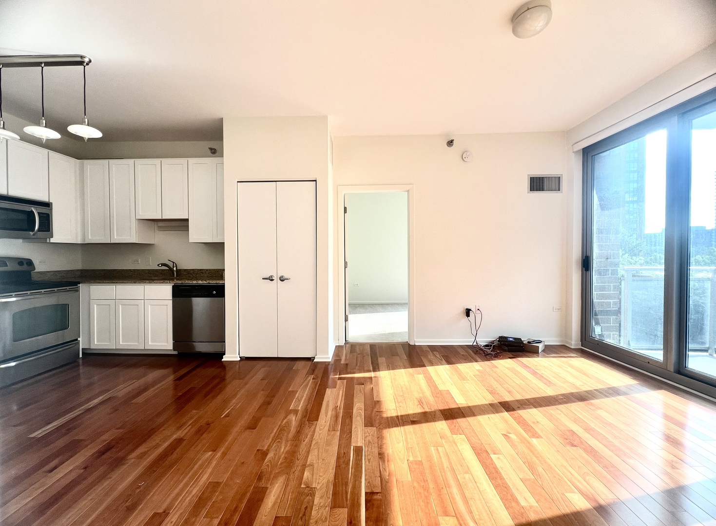 1 E 8th Street #307, Chicago, IL 60605