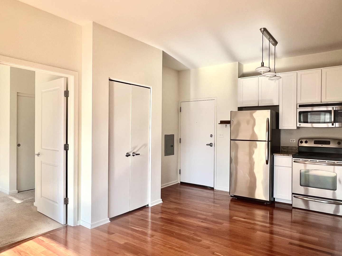 1 E 8th Street #307, Chicago, IL 60605