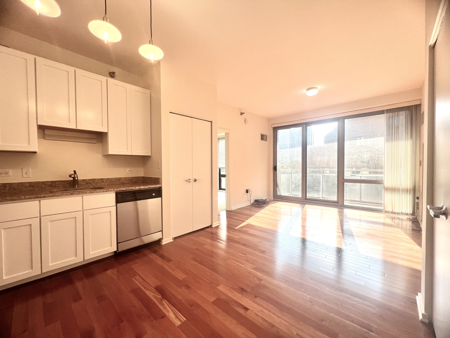 1 E 8th Street #307, Chicago, IL 60605