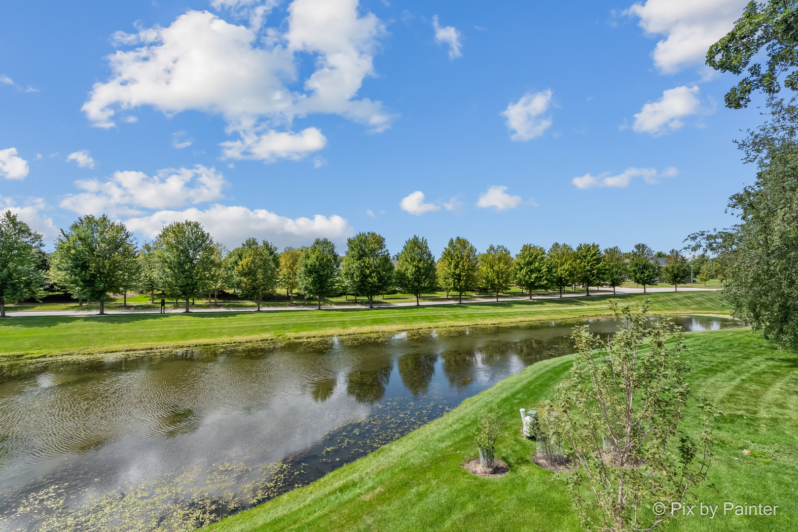 3653 Old Bridge Lane, Elgin, IL 60124