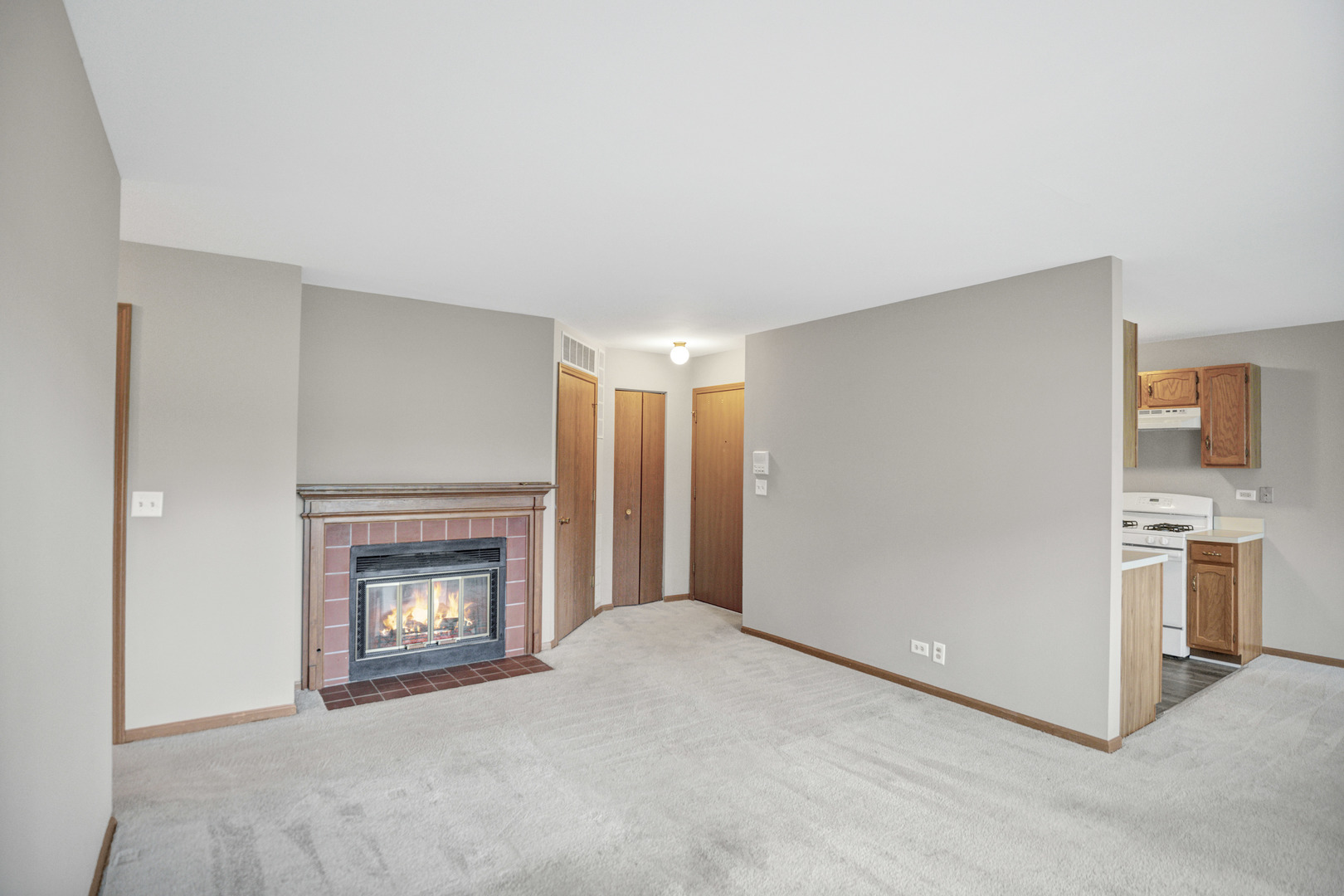 737 CANDLERIDGE Court #D2, Bartlett, IL 60103