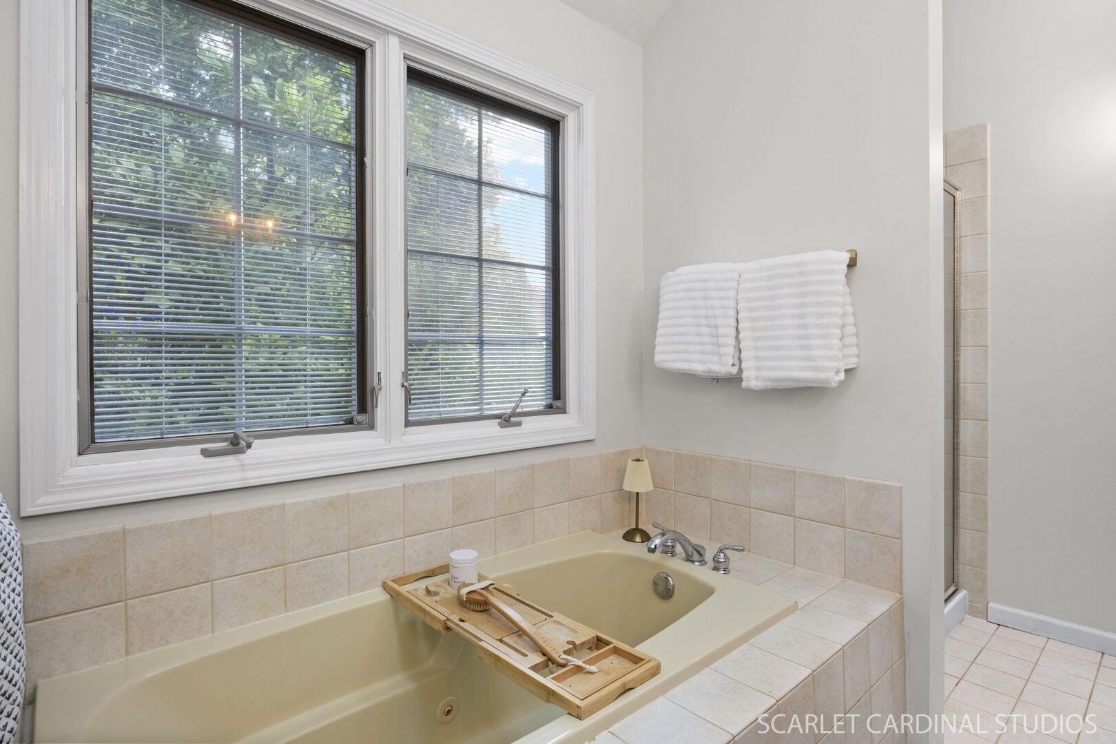 1231 Champion Forest Court, Wheaton, IL 60187