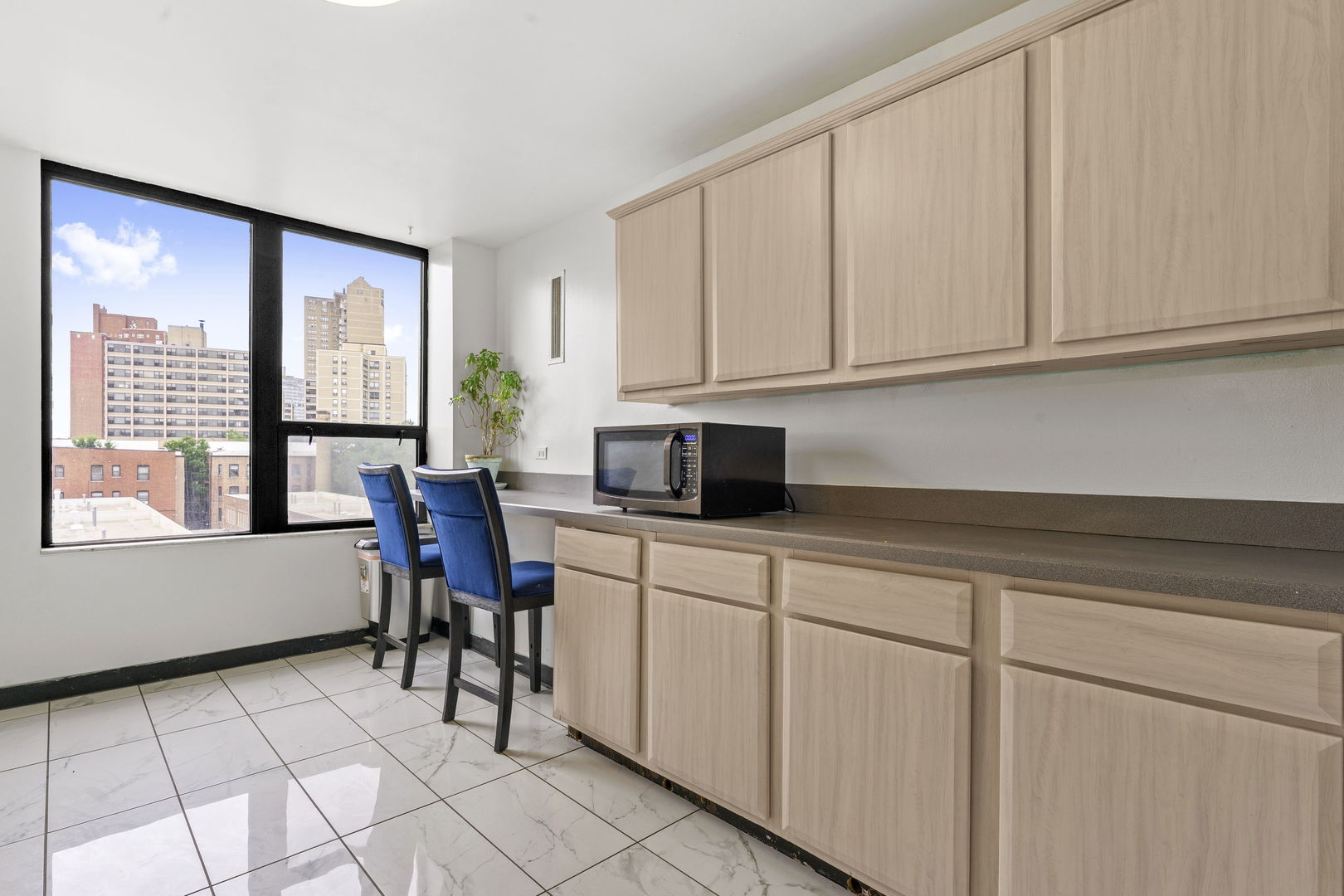5201 S Cornell Avenue #4B, Chicago, IL 60615