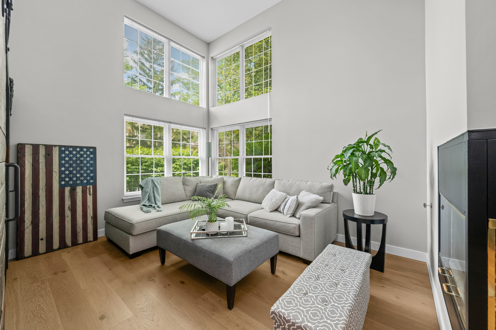 607 Stone Brook Court #47-1, Elk Grove Village, IL 60007