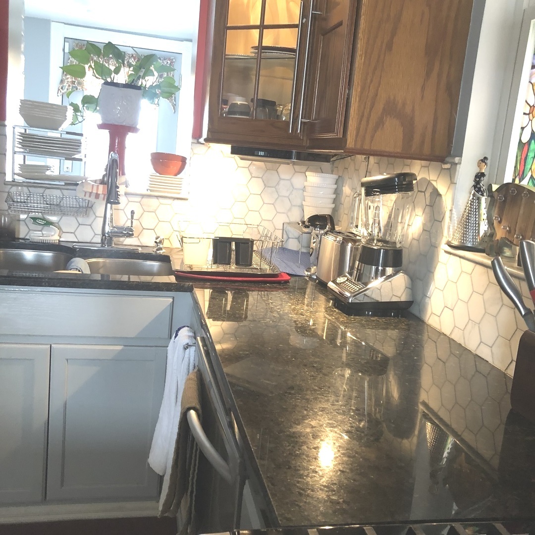 1629 S California Avenue, Chicago, IL 60608
