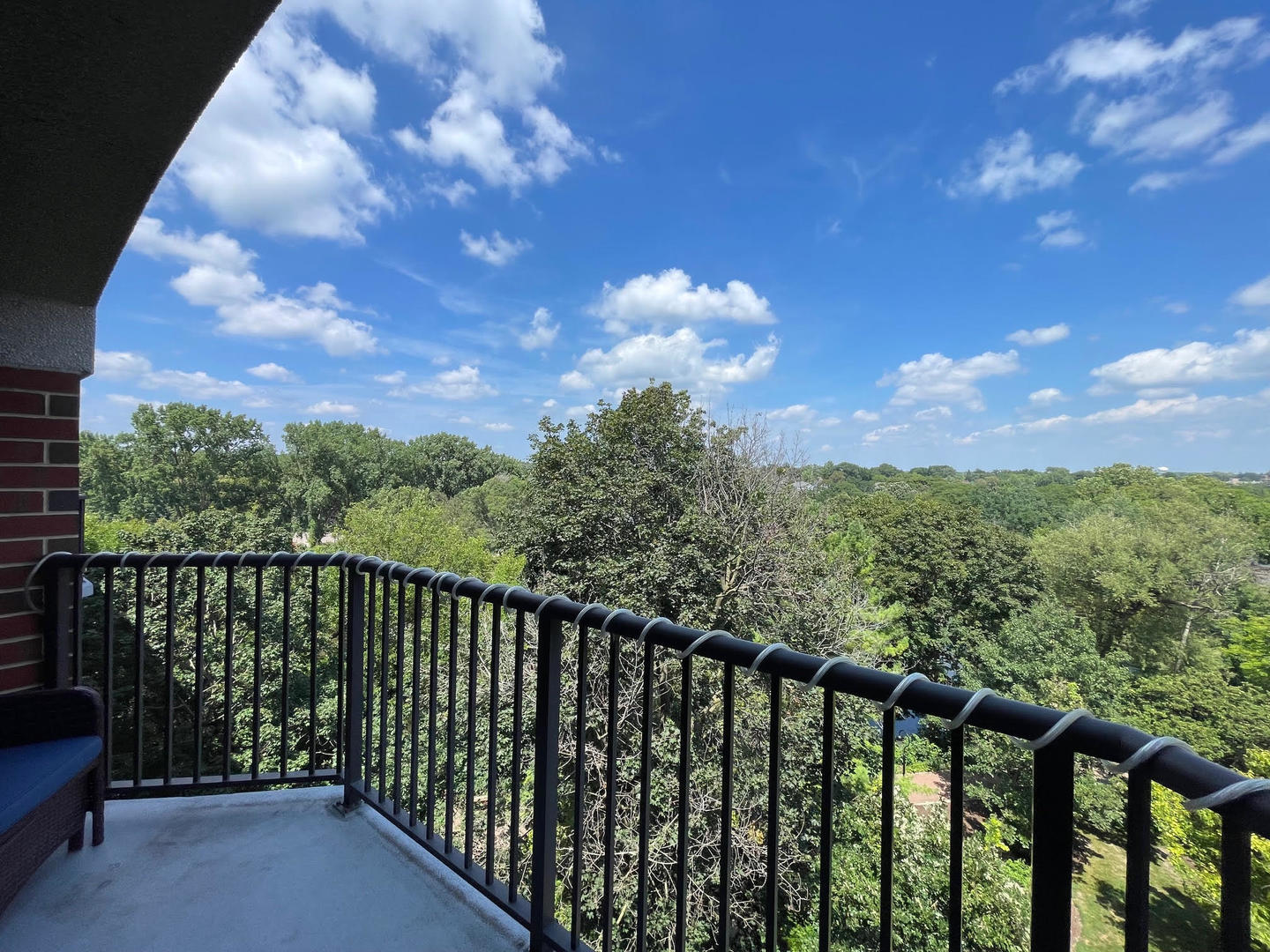 511 Aurora Avenue #608, Naperville, IL 60540