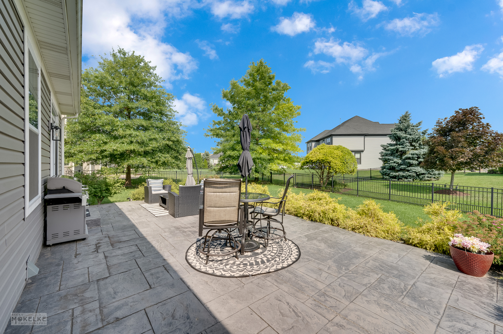 16513 Mueller Circle, Plainfield, IL 60586