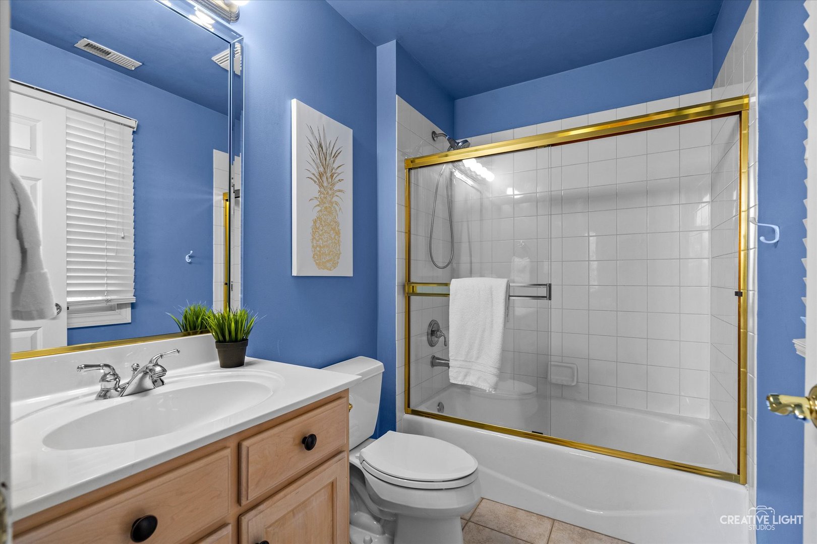 4811 Sebastian Court, Naperville, IL 60564