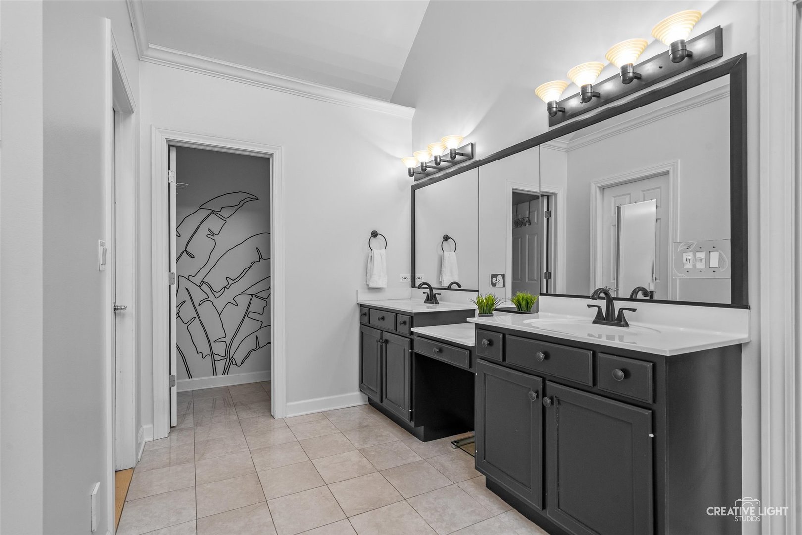 4811 Sebastian Court, Naperville, IL 60564