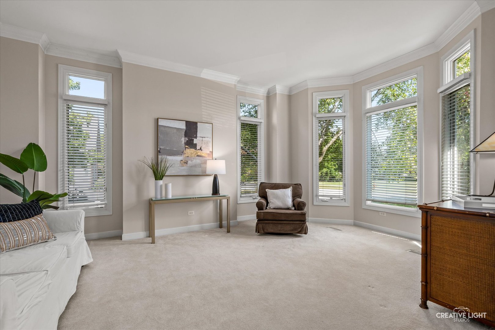 4811 Sebastian Court, Naperville, IL 60564