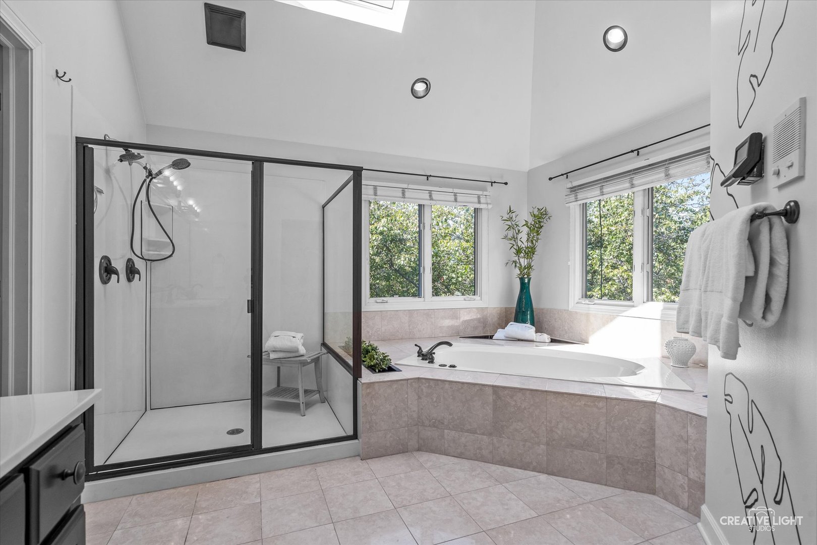 4811 Sebastian Court, Naperville, IL 60564