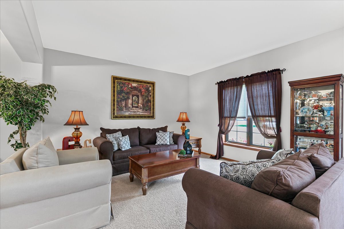 869 O Connell Street, New Lenox, IL 60451