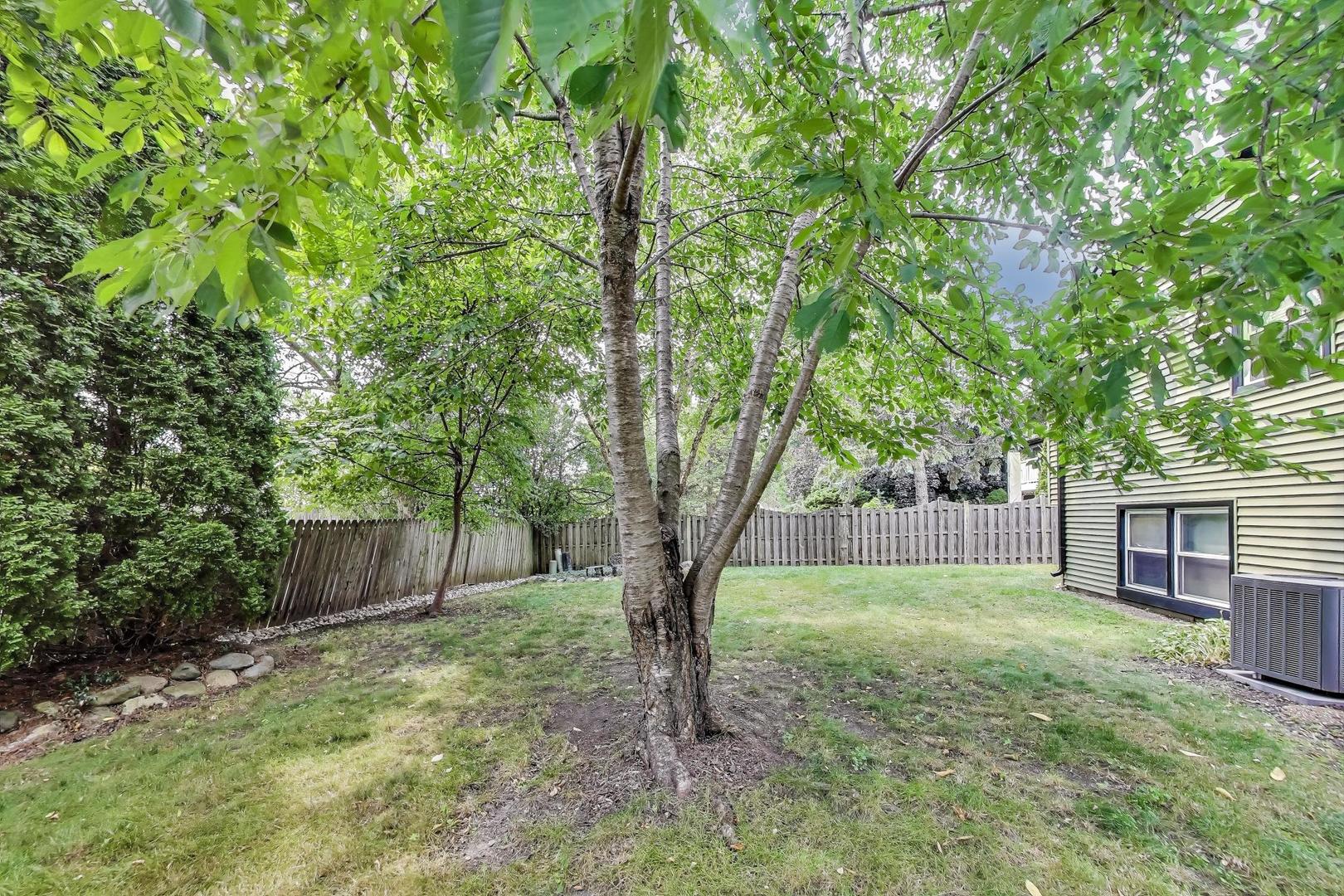 161 E Old Bridge Road, Palatine, IL 60067