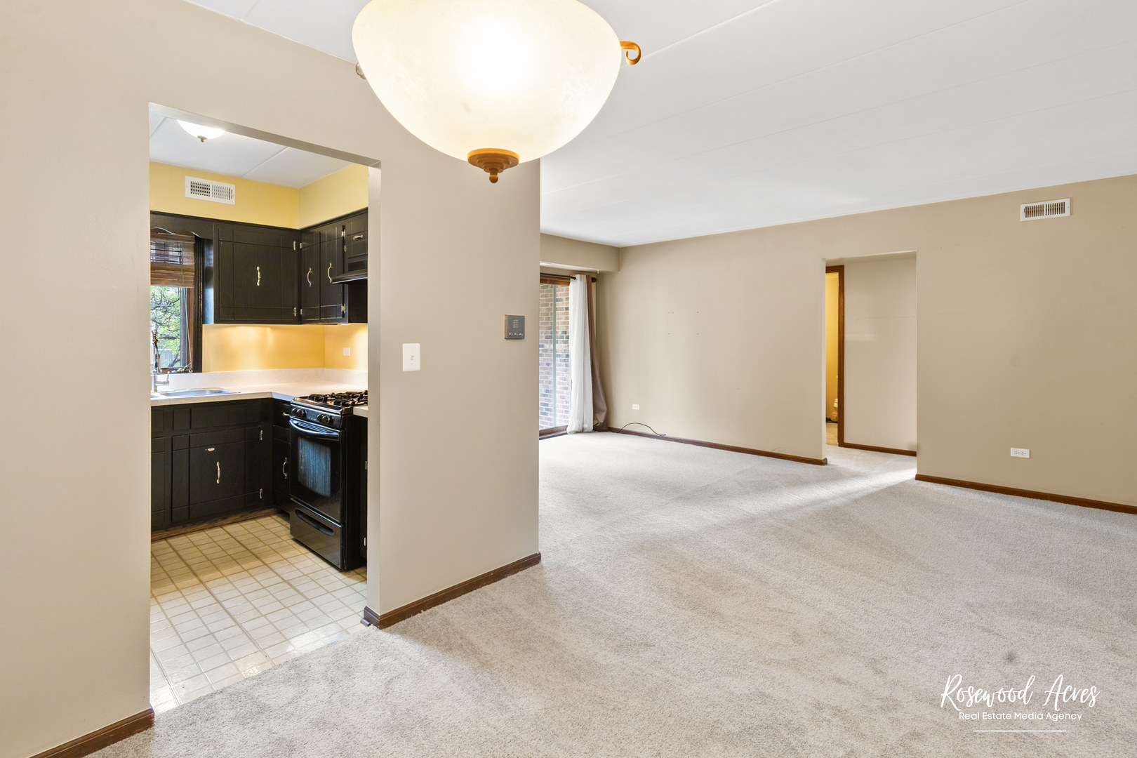 18137 Martin Avenue #1NE, Homewood, IL 60430