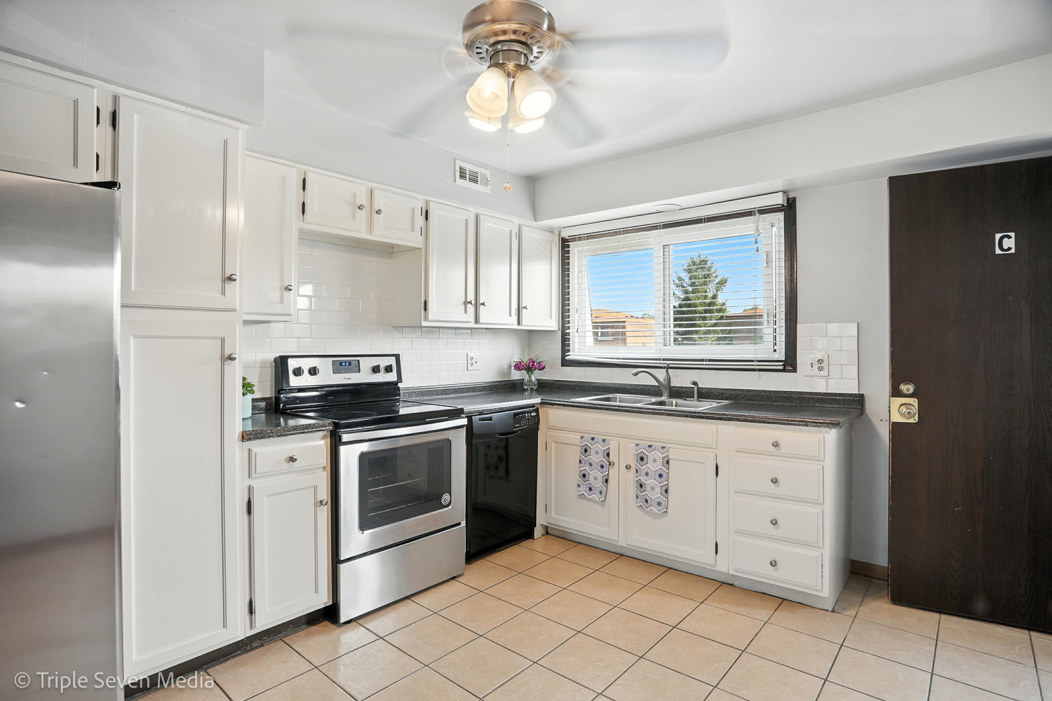 4128 Cove Lane #C, Glenview, IL 60025