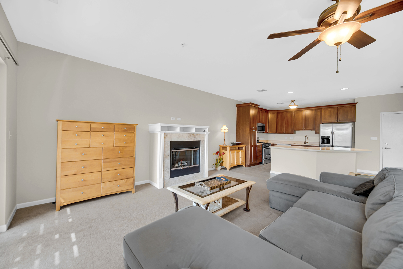 275 E Railroad Avenue #205, Bartlett, IL 60103