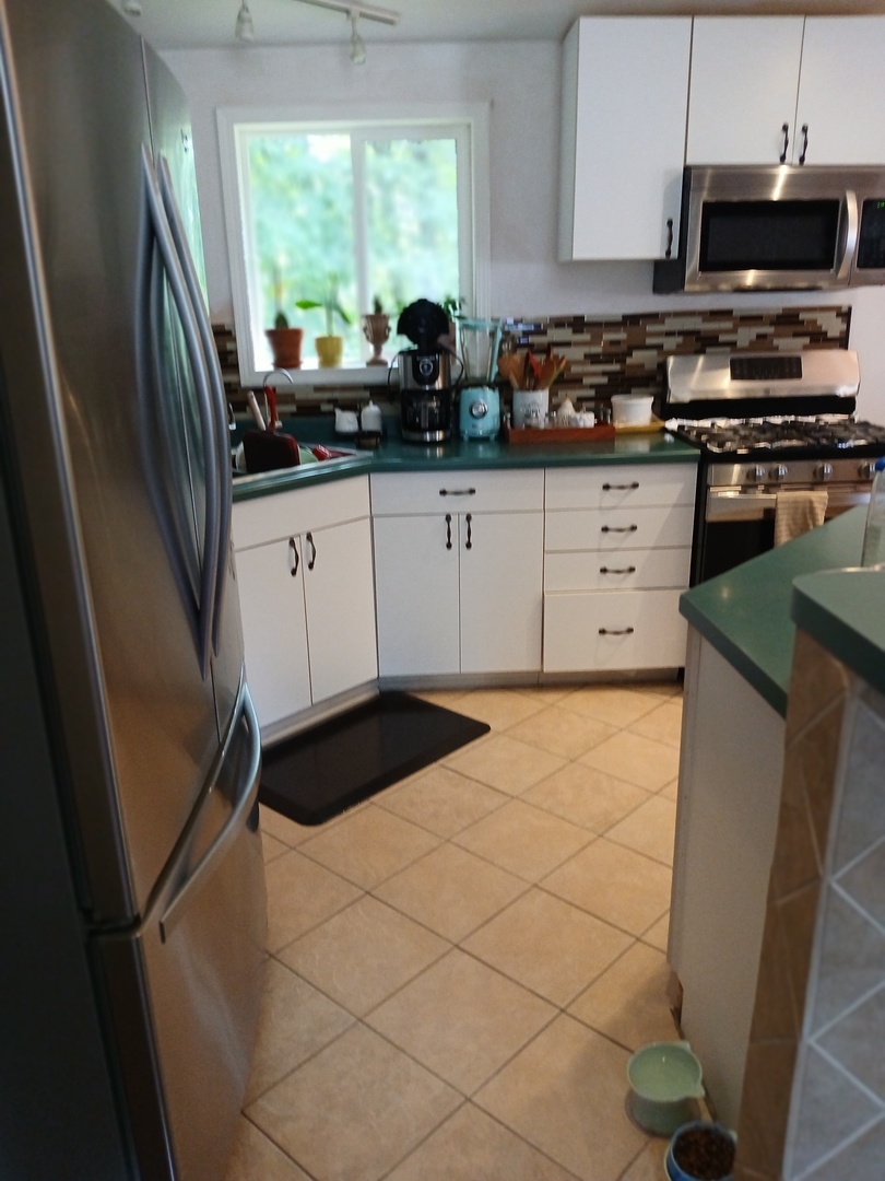 42065 N Beachview Drive, Antioch, IL 60002