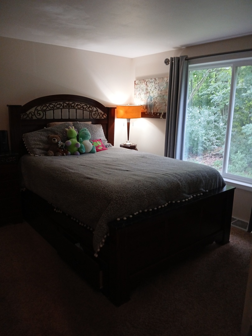 42065 N Beachview Drive, Antioch, IL 60002