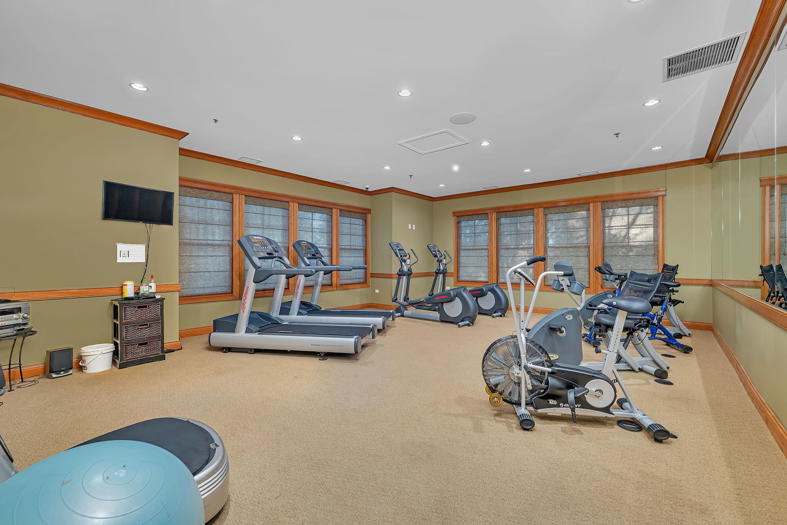 116 Clubhouse Lane #116, Oswego, IL 60543