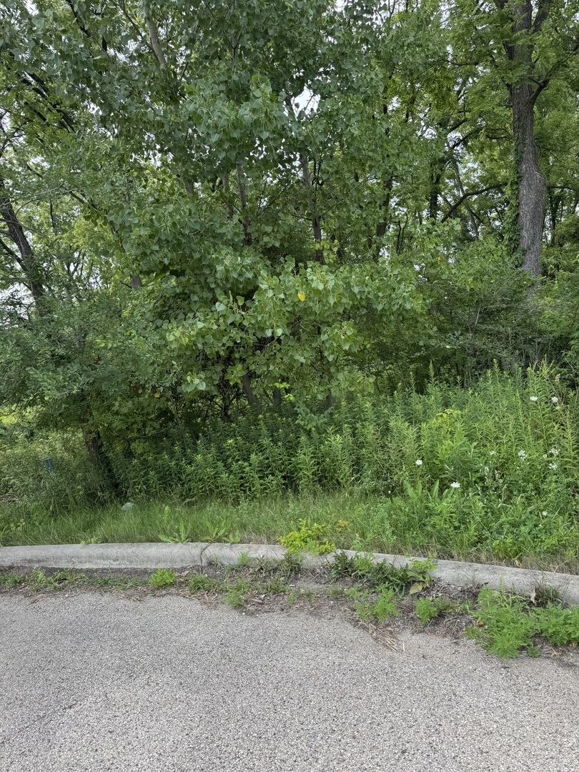 10 Chateau Drive, West Dundee, IL 60118